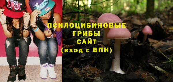 соль ск Алексин