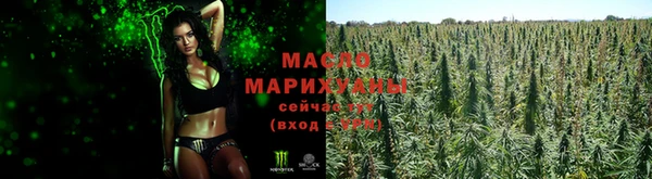 соль ск Алексин