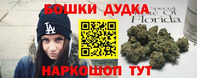 МДПВ Лесосибирск