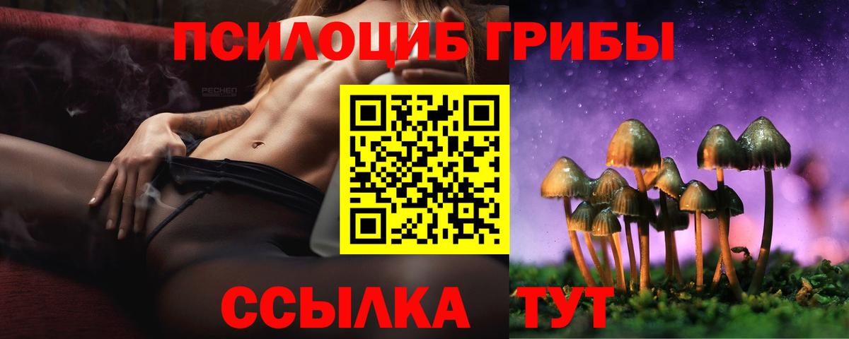 Сунжа  Галлюциногенные грибы Magic Shrooms  купить   Вход с VPN 